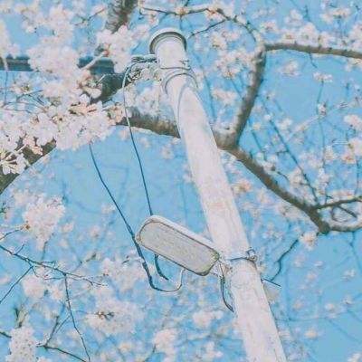 圣剑情缘手机版下载