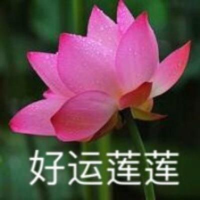 n1计划游戏